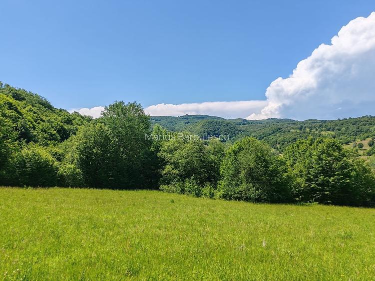 2,2 HA TEREN EXTRAVILAN FANEATA, Muntii Apuseni, Ciucea - Cluj, la 5 km de E60