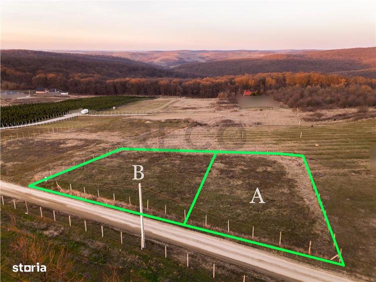 RECO Teren intravilan in Saldabagiu de Munte - 12