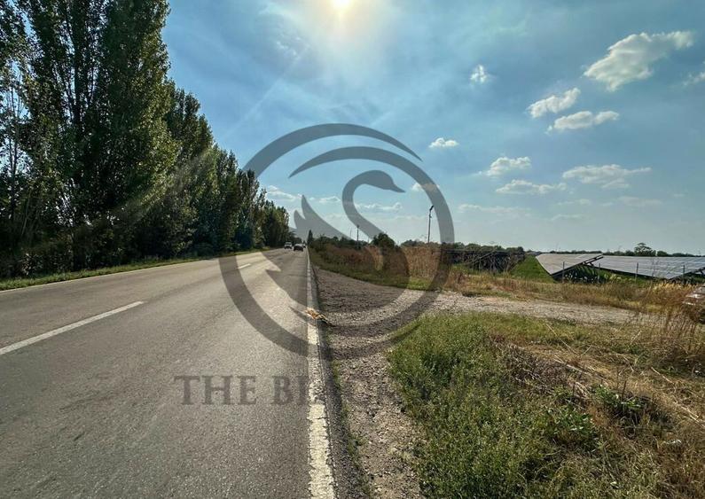 Teren extravilan de vanzare | 9882mp | Berceni - Prahova ... - 7