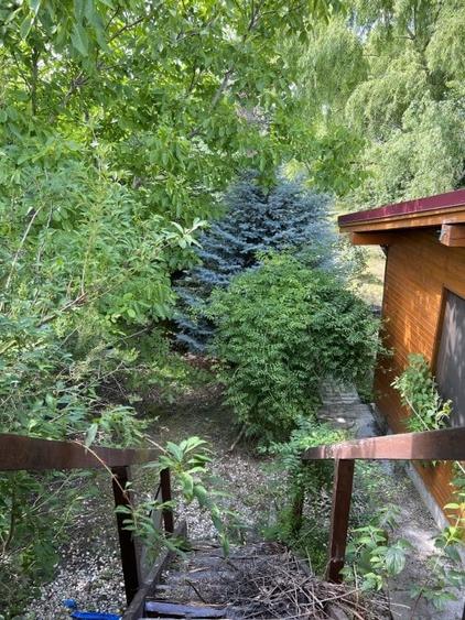 Casa-langa studiourile Buftea, 2 constructii, curte cu pomi, 2300mp, langa lac - 28