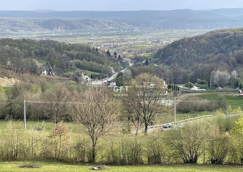 CABANA/PENSIUNE LA 25 MINUTE DE COLIBITA! PLATA IN RATE!!! - 8