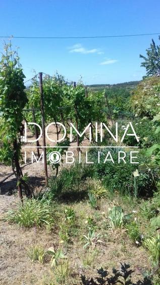 Vanzare casa cu teren generos, locatie deosebita,  în Musetesti, Gorj - 9