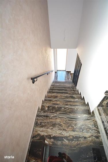 Vila in modul insiruit - Popas Pacurari - 11