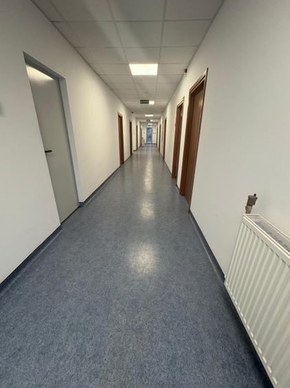 Hală modernă – 1.700 mp, ideală activitate farmaceutica,birouri,depozitare - 5