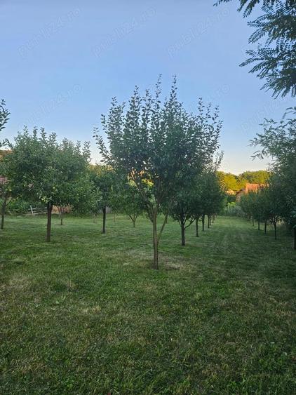 Vand teren intravilan, 950mp in sat Topircea jud. Sibiu - 4