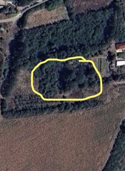 Ideal pentru casa de vacanta teren intravilan in Sapata de Jos judetul Arges, - 1