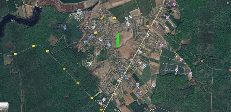Teren Intravilan 5000 mp in Ciolpani Inchiriere - 1