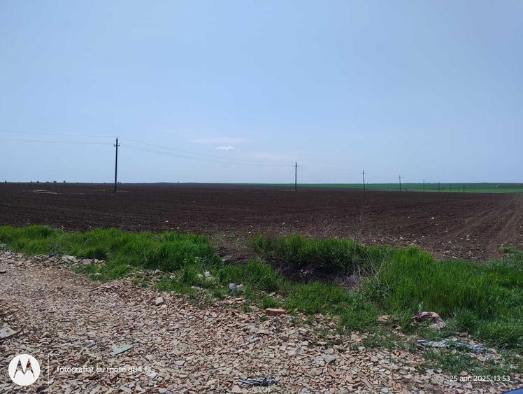 De vanzare 1Ha teren la 1,5km de Mare, Limanu-Mangalia- Jud. Constanta - 4