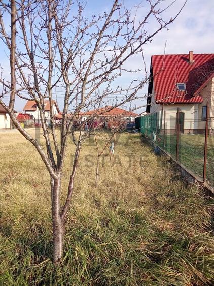 Teren intravilan, 738 mp, fs 16.5 ml, Sag - 8