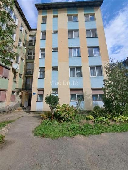 Apartament cu 2 camere decomandat în Pădurea Neagră Apartament cu 2 camere decomandat în Pădurea Neagră