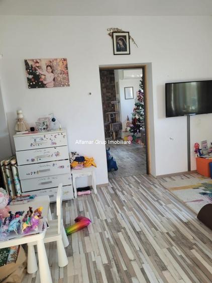 Vanzare proprietate cu 2 case Zurbaua- Dragomiresti Vale - 6