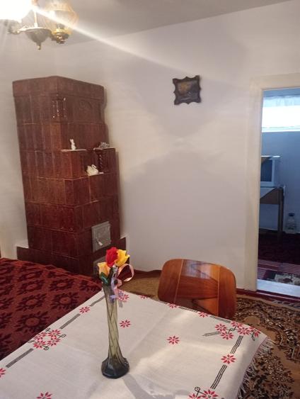 Casă locuibilă, mobilată, de vânzare. - 3