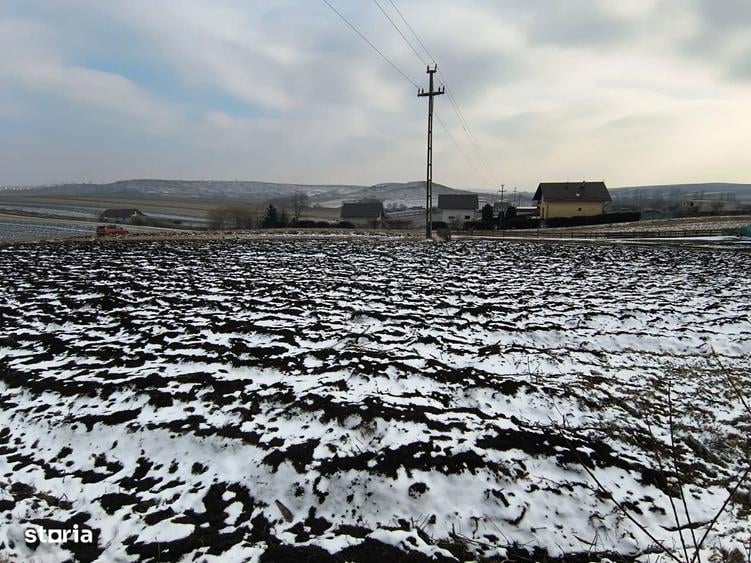 Teren 991 MP | Moara Nica | 22 ml Deschidere | Utilita?i | 38.000 - 3