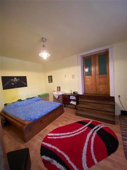 Oportunitate de investiție! Casă Săsească, teren 6 000 mp - 11