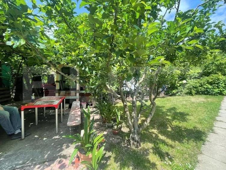 Casa individuala, 140 mp, curte, parcare, zona Eremia Grigorescu - 8