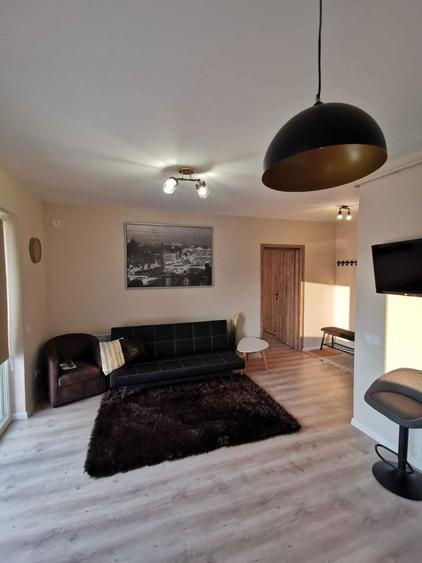 Apartament de inchiriat cu 2 camere zona Marul de Aur, Lamaitei, complet mobiliat si utilat - 4