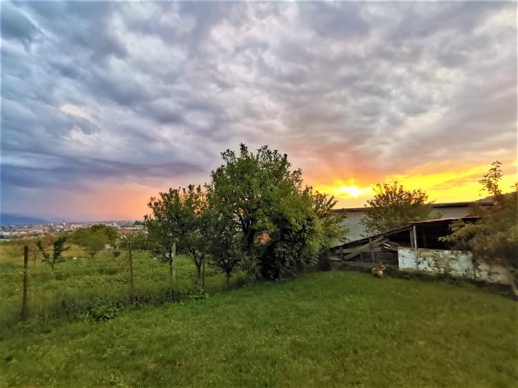 Casa Individuala Gusterita - 2