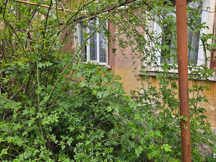 Ap în casă cu 2 ap, curte comună și grădină, C Bogdăneștilor, comision 0% - 18