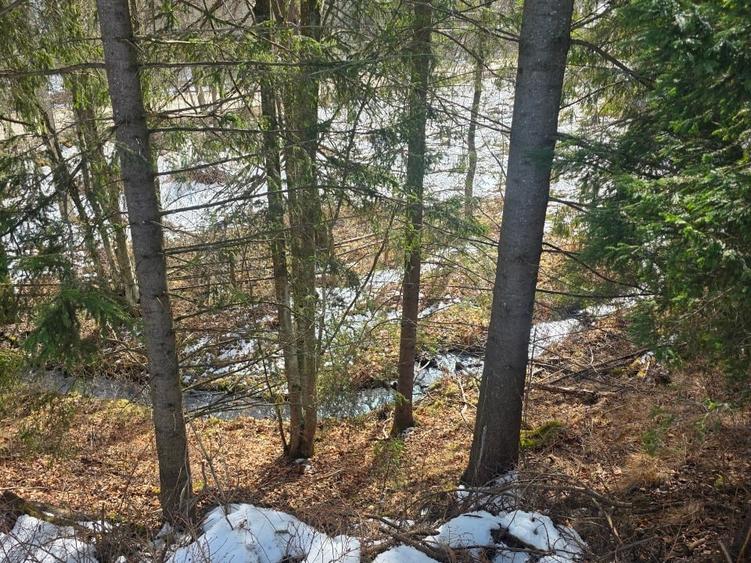 Teren intravilan 15.000 mp cu panorama montana | 1 km Parcul Calimani Pret neg - 5