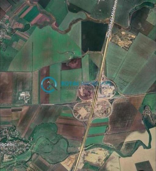 Royal Imobiliare - Vanzare ferma zootehnica, zona Tomsani - 2