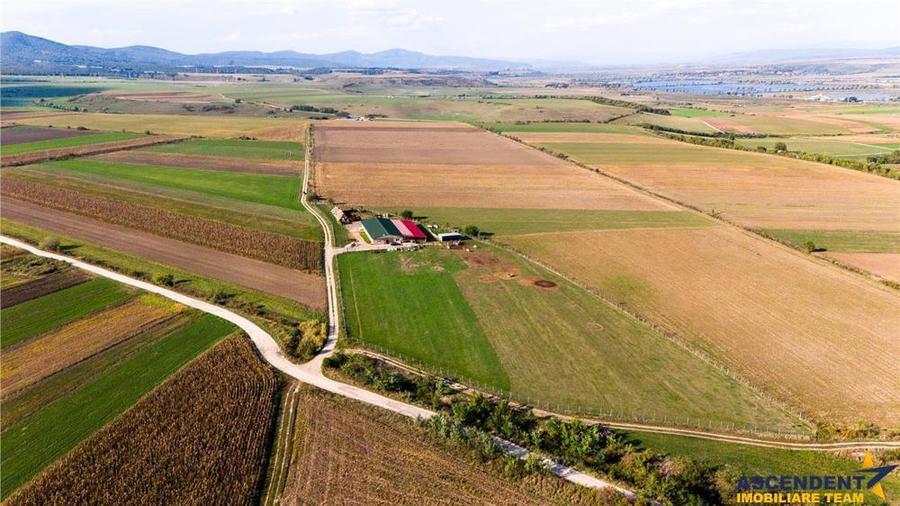 FILM! 18.000 mp,extravilan,agricol+constructii, recomandat:ferma,investitii agricole,Rotbav,Brasov - 4