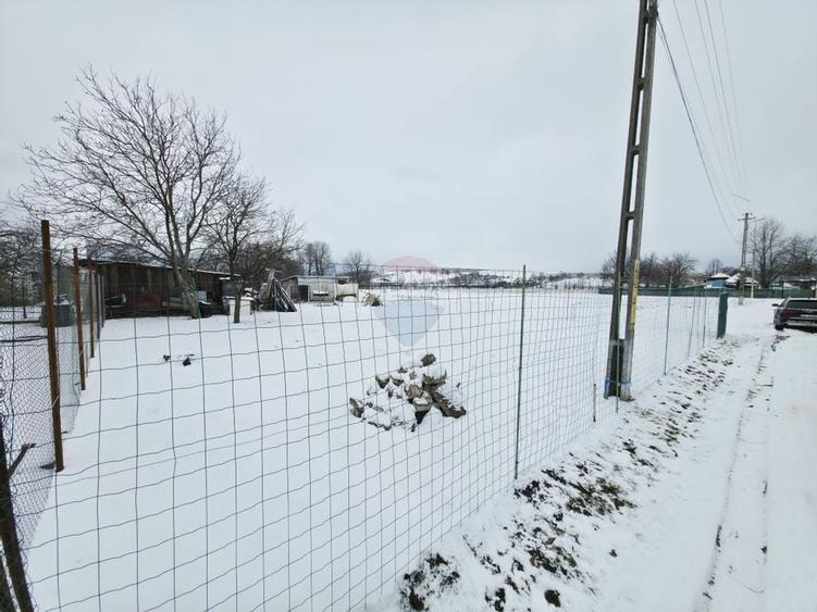 Teren 325mp Dobreni / Strada LASCAR CATARGIU - 4