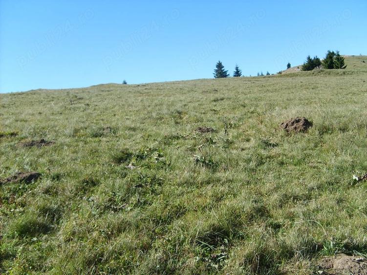 Teren de 717 mp, în Fundata