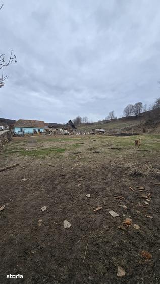 Teren de 1115 mp, în Bârghiș