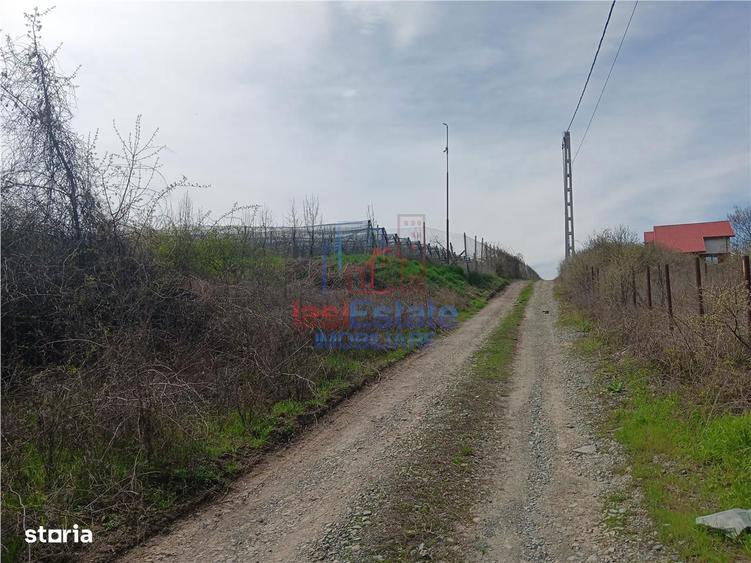 Visan str Valea Viilor TEREN 1122mp cu dubla deschidere toate utilitat - 10