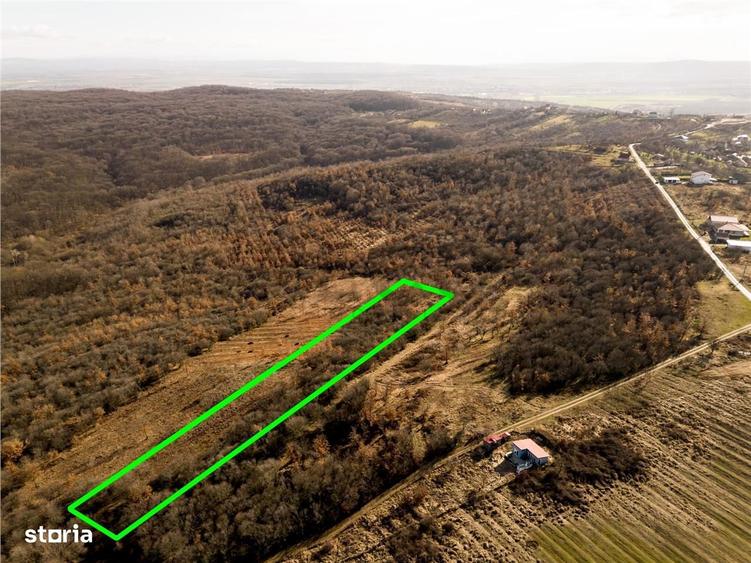Reco Teren ideal pentru investitii- Saldabagiu de Munte - 5