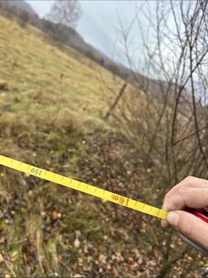 Teren extravilan cu potential intravilan - 3