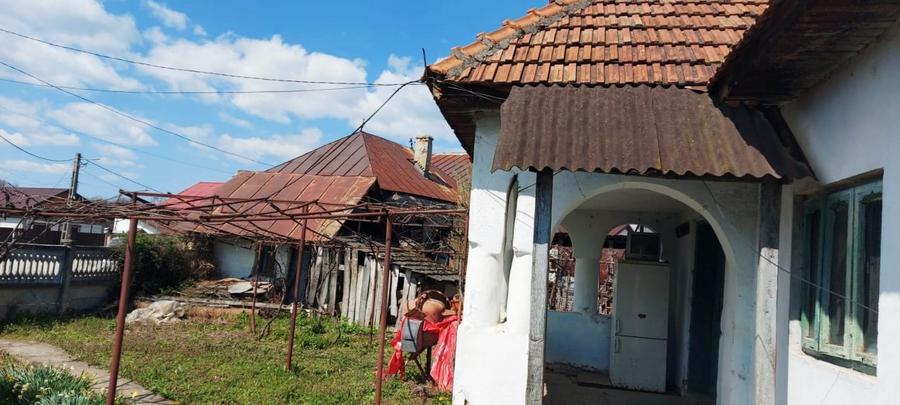 Casa cu hala industriala Dragutesti - 4