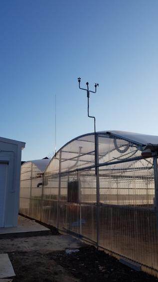 De vanzare sera legume spatiu de depozitare si utilaje agricole - 1