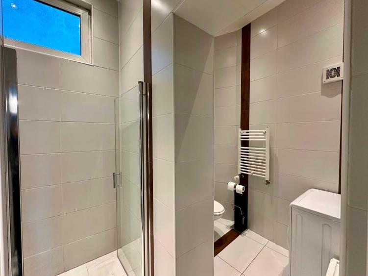 Unirii, Centru Vechi, Cismigiu, casa 4 apartamente, unic - 10