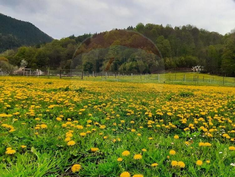 Hotel Tresor - Lepsa. - 5