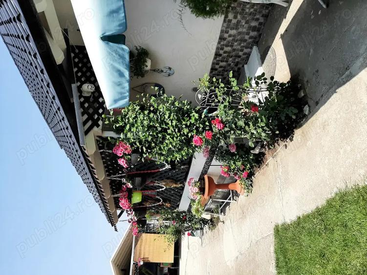 Casa de vanzare Sannicolau Mare - 2