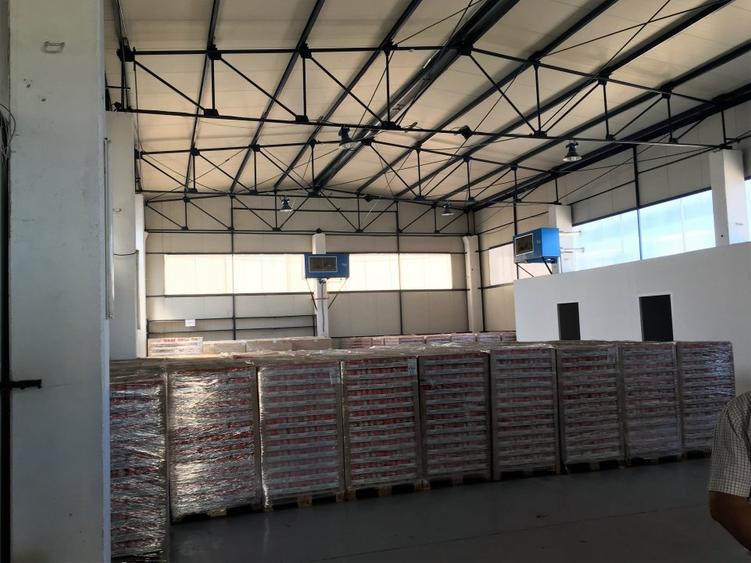 Hala microproductie sau eepozitare - 10