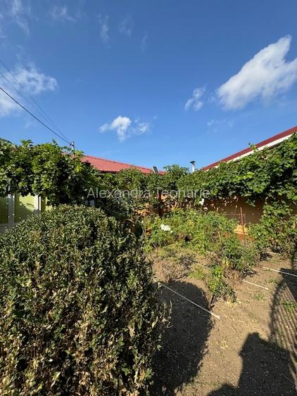 Casa la sol cu 3 camere, 933 mp teren, Valu lui Traian