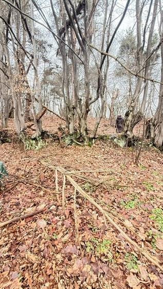 OPORTUNITATE - TEREN PENTRU PARC DISTRACTII!!! - 7