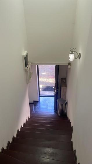 Inchiriere casa P+1 pet friendly curte comuna Cotroceni Medicina - 12