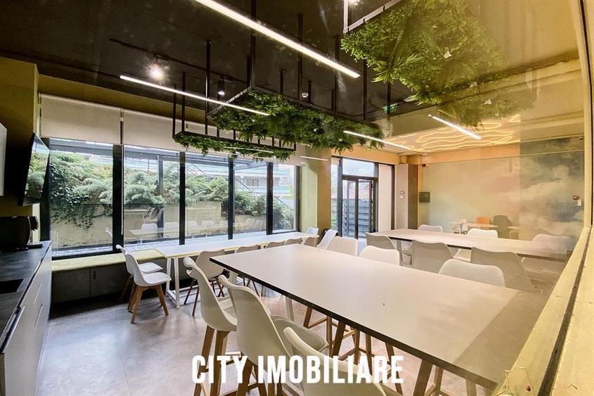 Spatiu comercial 250 mp + terasa 70 mp, Grigorescu, Parter, Ideal HoReCa   Showr - 9