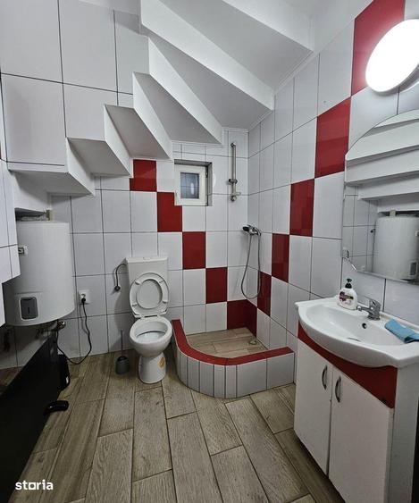 Spatiu pretabil birou / salon de infrumusetare, ultracentral - 7