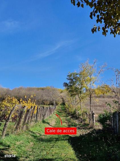 Teren intravilan 1308 mp Rediu | 9 min Copou / Pacurari - 2