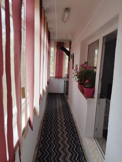Apartament cu 2 camere, PET FRIENDLY, zona Frumoasa - 5