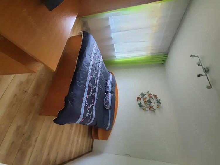 Casa superba in Corunca (potrivita si pentru pensiune) - 10