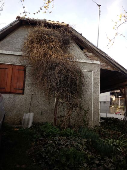 De vanzare case de vinificatie cu Teren 1100 mp - 6