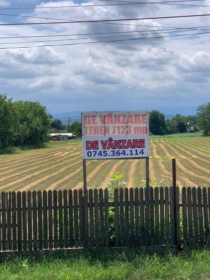 Teren de vanzare 7.123 mp intravilan, Buhusi - 2