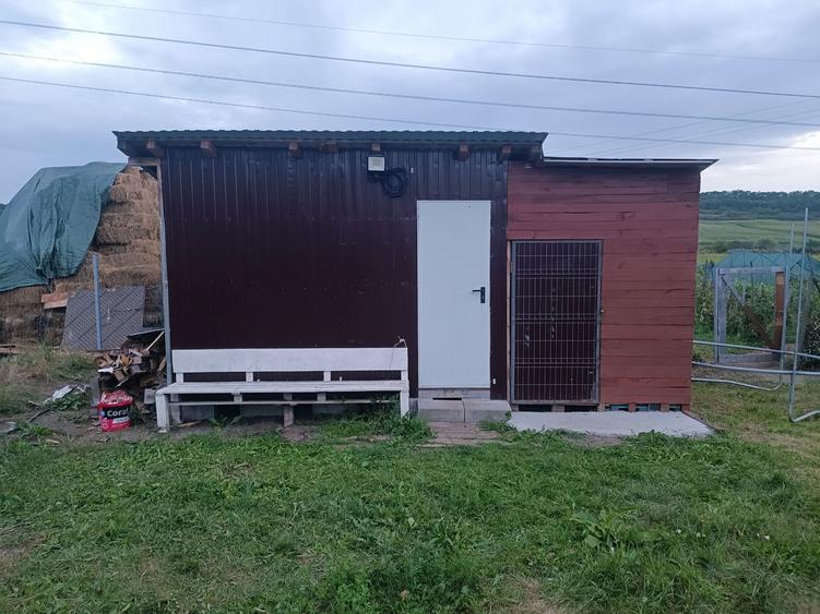 Vanzare teren comuna Caianu, Caianu vama - 2