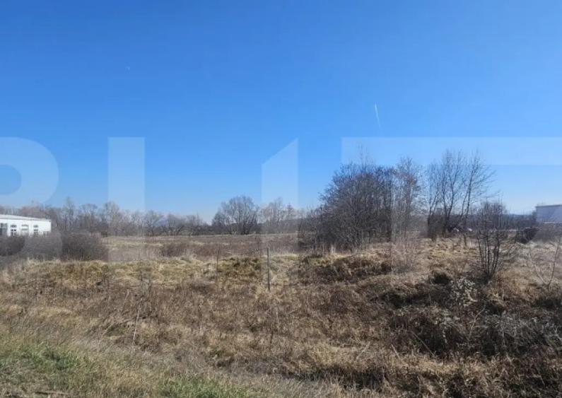 Teren intravilan, 3500 mp, pozitie strategica, Deva - 2