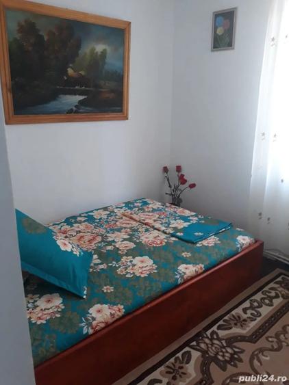 Casa de inchiriat Vinzare - 5